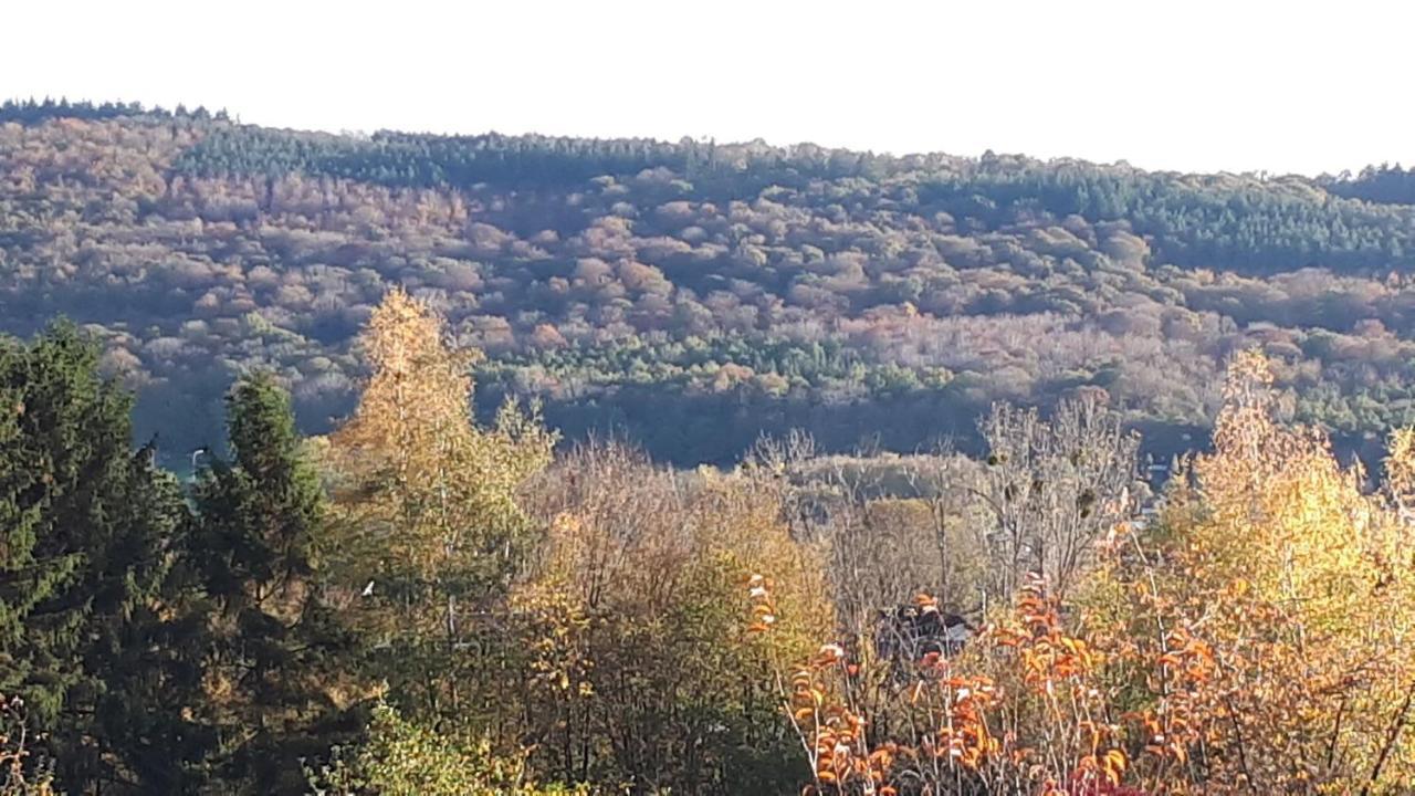 Hotel Le Coeur Sur La Main Namur Zewnętrze zdjęcie